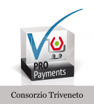 consorziotriveneto